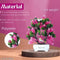 Artificial Bonsai Plant with Pot & Light (Pink & Green, 23 cm)