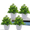 Artificial Plants with Pot (Green & White, Pack of 4)